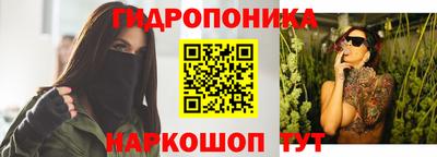 jwh Гатчина