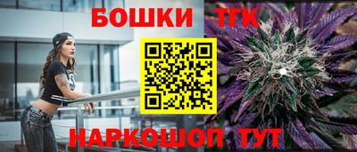 jwh Гатчина