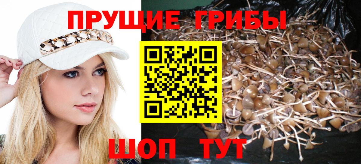 Галлюциногенные грибы MAGIC MUSHROOMS Пугачёв