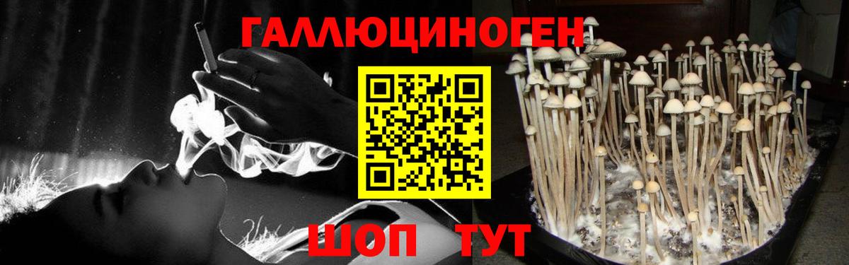 Пугачёв  Галлюциногенные грибы Magic Shrooms  Вход с VPN  Галлюциногенные грибы Cubensis 